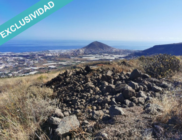 Rustic land For sell in Galdar in Las Palmas 