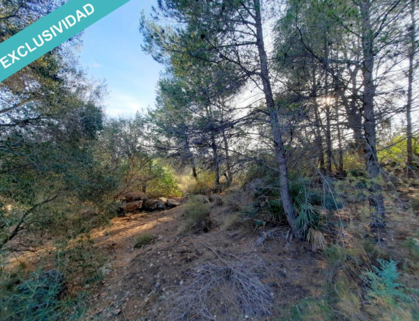 Rustic land For sell in Albalat Dels Taronchers in Valencia 