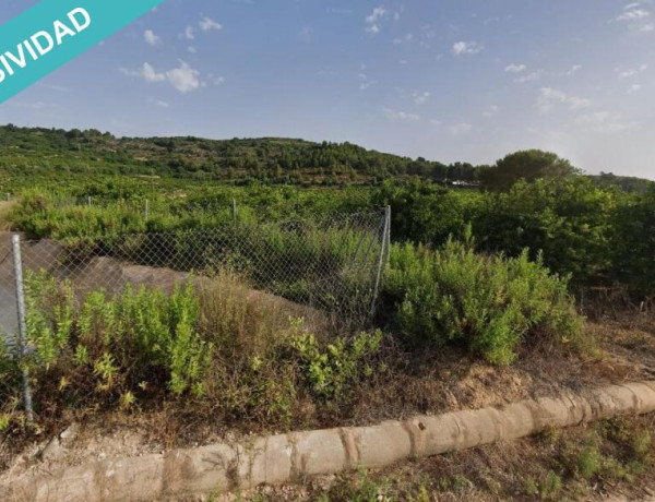 Rustic land For sell in Sellent in Valencia 