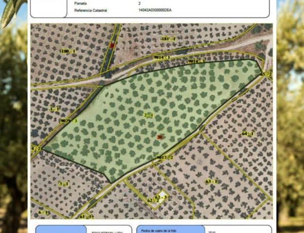 Urban land For sell in Montilla in Córdoba 