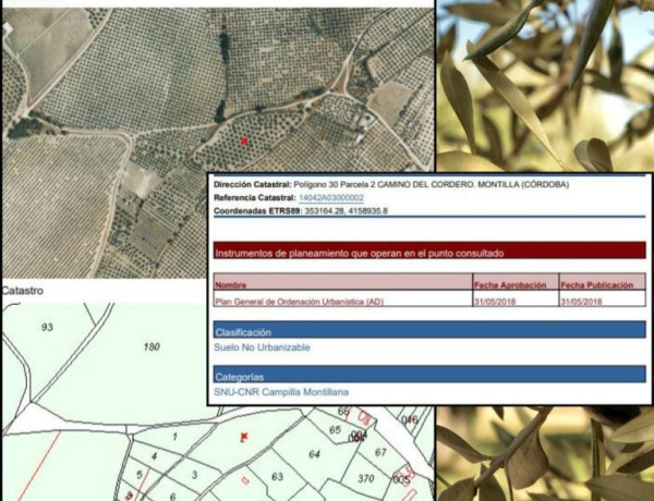 Urban land For sell in Montilla in Córdoba 