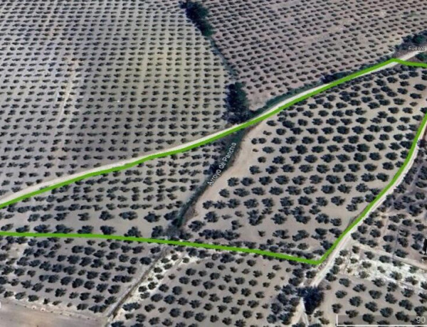 Dos Fincas Excepcionales en Montilla: Oportunidad Única para Inversores