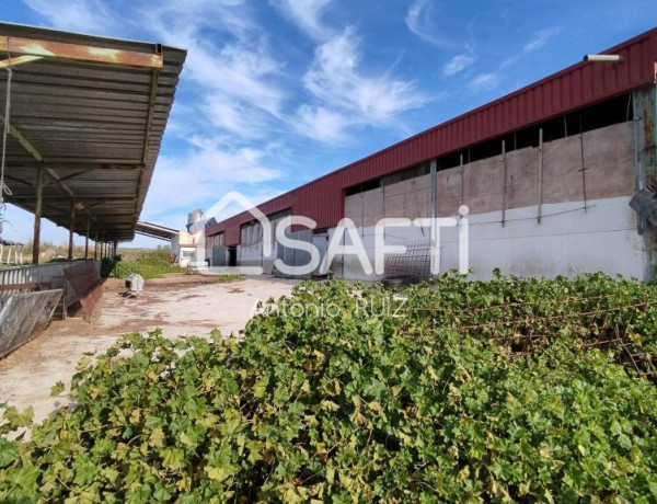 Granja con terreno de unos 20.000 m² y posibilidad de concesión de 200 ha de pastos. Zona Donadio. SIN COMISIÓN DE COMPRA..