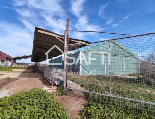 Granja con terreno de unos 20.000 m² y posibilidad de concesión de 200 ha de pastos. Zona Donadio. SIN COMISIÓN DE COMPRA..