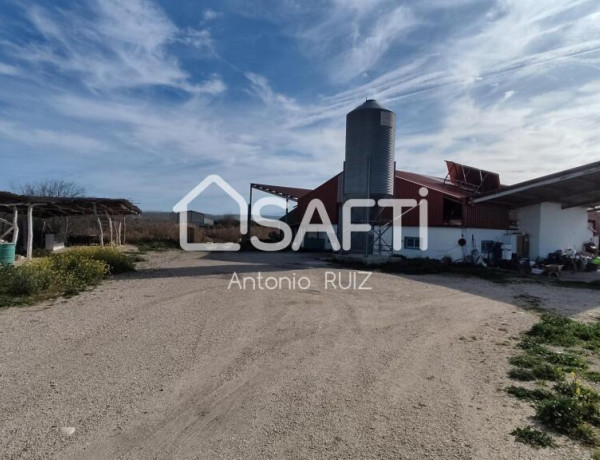 Granja con terreno de unos 20.000 m² y posibilidad de concesión de 200 ha de pastos. Zona Donadio. SIN COMISIÓN DE COMPRA..