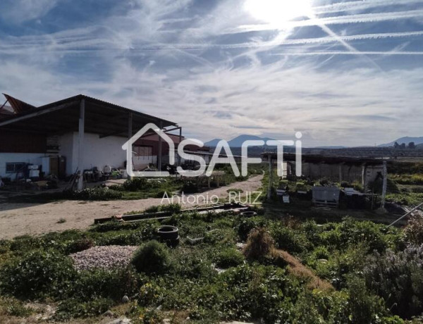 Granja con terreno de unos 20.000 m² y posibilidad de concesión de 200 ha de pastos. Zona Donadio. SIN COMISIÓN DE COMPRA..