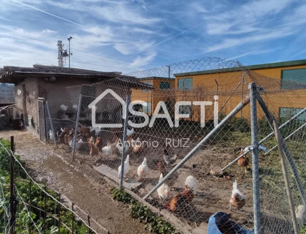 Granja con terreno de unos 20.000 m² y posibilidad de concesión de 200 ha de pastos. Zona Donadio. SIN COMISIÓN DE COMPRA..