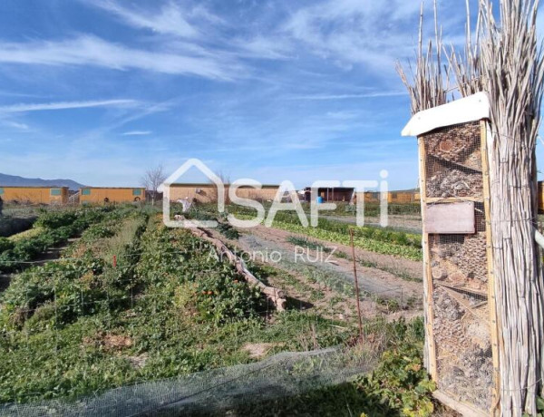 Granja con terreno de unos 20.000 m² y posibilidad de concesión de 200 ha de pastos. Zona Donadio. SIN COMISIÓN DE COMPRA..