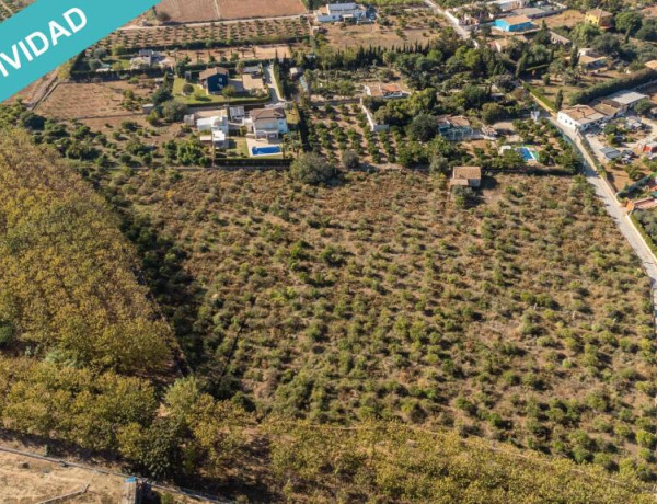 Rustic land For sell in Ondara in Valencia 