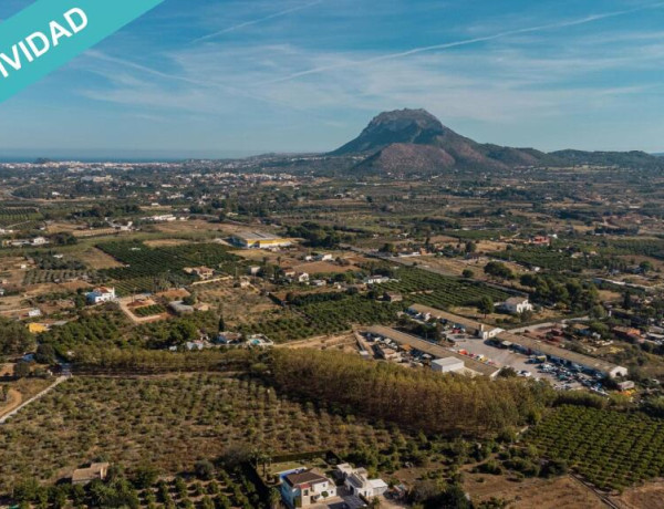 Rustic land For sell in Ondara in Valencia 