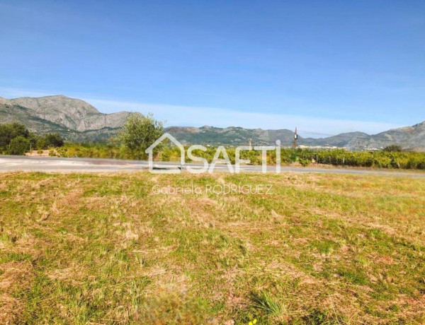 Rustic land For sell in Orba in Alicante 