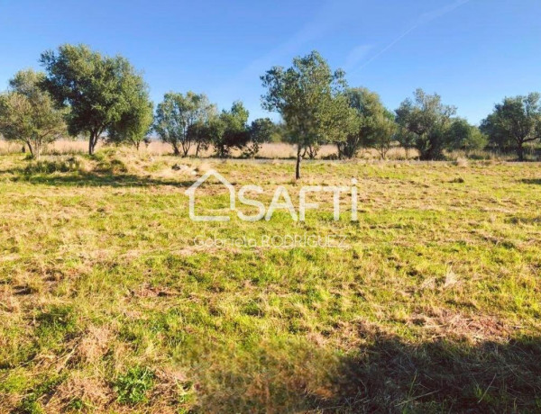 ¿Buscando un terreno? Pues mira este bonito terreno que hoy te traigo ubicado en la zona del pueblo de Orba.