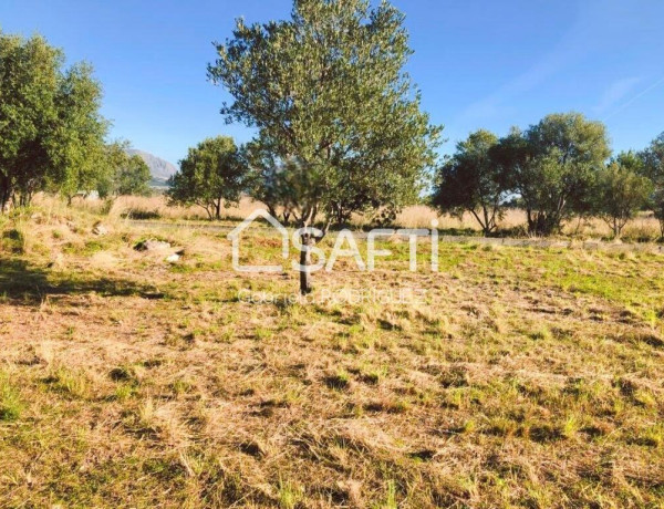 ¿Buscando un terreno? Pues mira este bonito terreno que hoy te traigo ubicado en la zona del pueblo de Orba.