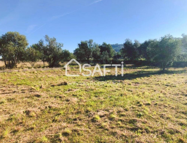 Rustic land For sell in Orba in Alicante 