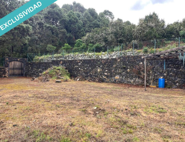 Rustic land For sell in Icod De Los Vinos in Santa Cruz de Tenerife 