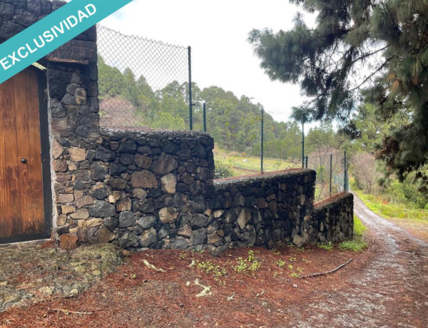 Finca rústica vallada y amurada con piedra natural.