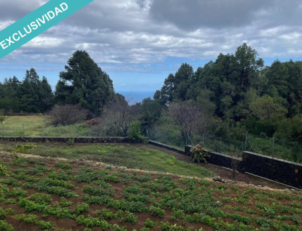 Rustic land For sell in Icod De Los Vinos in Santa Cruz de Tenerife 