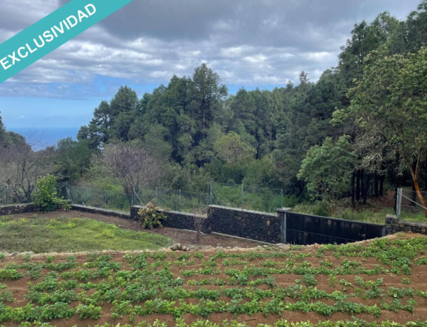 Rustic land For sell in Icod De Los Vinos in Santa Cruz de Tenerife 