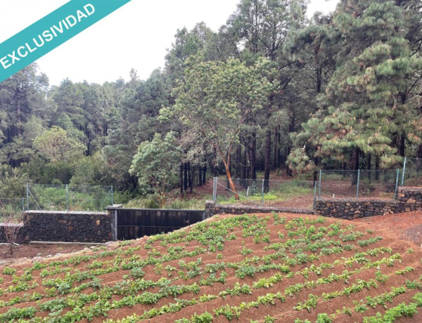 Rustic land For sell in Icod De Los Vinos in Santa Cruz de Tenerife 