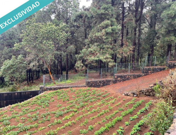 Finca rústica vallada y amurada con piedra natural.