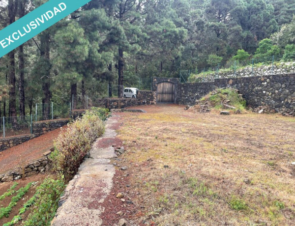 Rustic land For sell in Icod De Los Vinos in Santa Cruz de Tenerife 