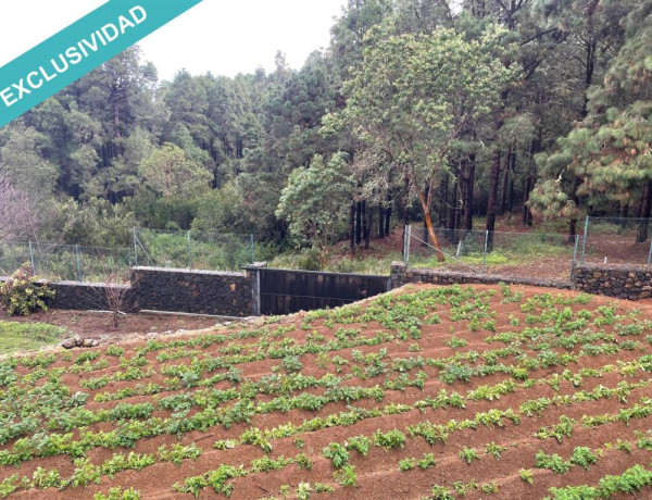 Rustic land For sell in Icod De Los Vinos in Santa Cruz de Tenerife 