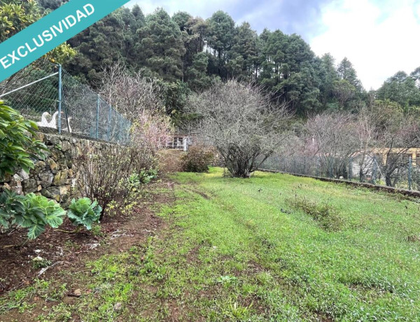 Rustic land For sell in Icod De Los Vinos in Santa Cruz de Tenerife 