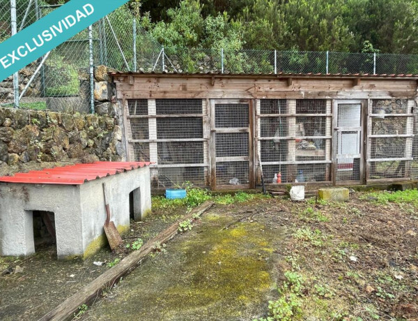 Rustic land For sell in Icod De Los Vinos in Santa Cruz de Tenerife 