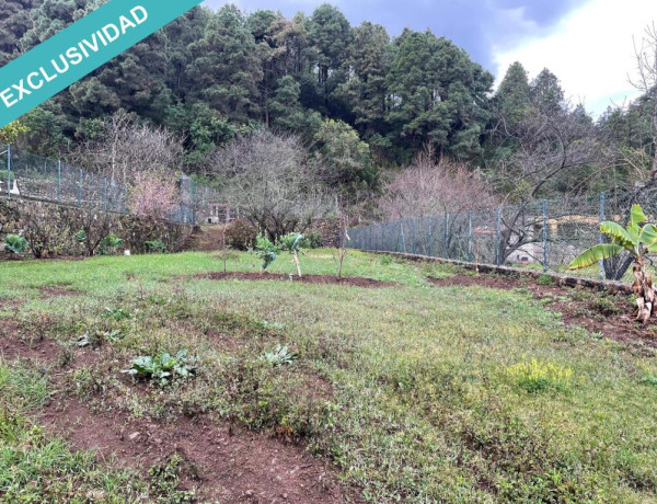 Finca rústica vallada y amurada con piedra natural.