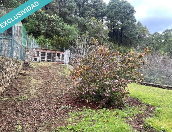 Rustic land For sell in Icod De Los Vinos in Santa Cruz de Tenerife 