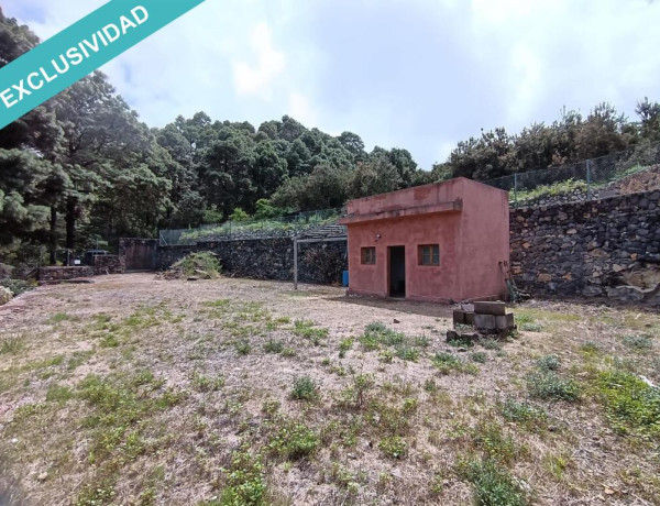 Rustic land For sell in Icod De Los Vinos in Santa Cruz de Tenerife 