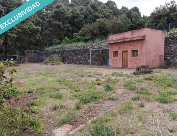 Rustic land For sell in Icod De Los Vinos in Santa Cruz de Tenerife 