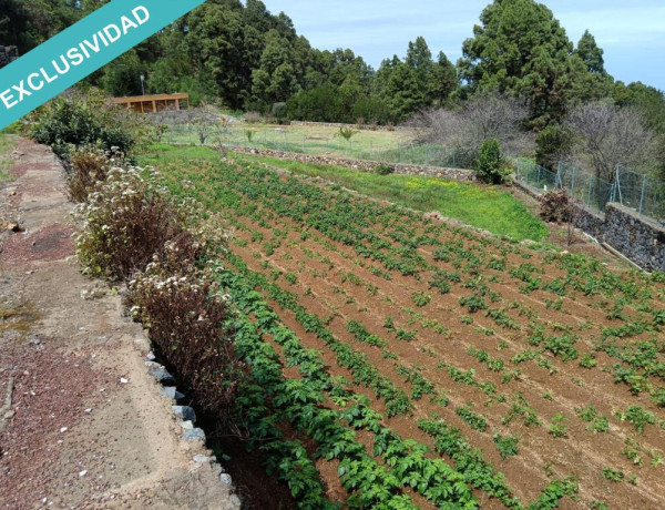 Finca rústica vallada y amurada con piedra natural.