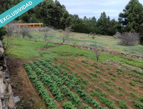 Finca rústica vallada y amurada con piedra natural.