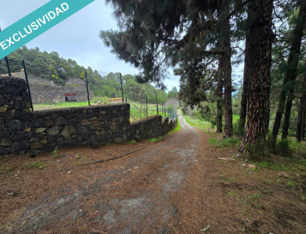 Finca rústica vallada y amurada con piedra natural.