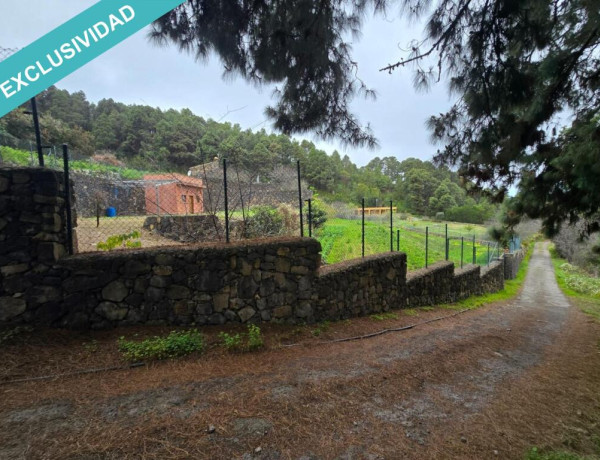 Rustic land For sell in Icod De Los Vinos in Santa Cruz de Tenerife 