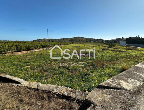 Rustic land For sell in Oliva in Valencia 