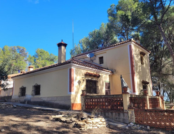 EXCELENTE OPORTUNIDAD!. FINCA AGRICOLA EN ONTINYENT CON GRAN VIVIENDA RENOVADA