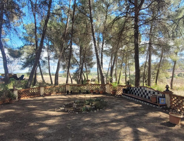 Rustic land For sell in Ontinyent in Valencia 