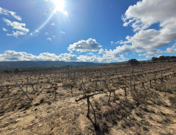 EXCELENTE OPORTUNIDAD!. FINCA AGRICOLA EN ONTINYENT CON GRAN VIVIENDA RENOVADA