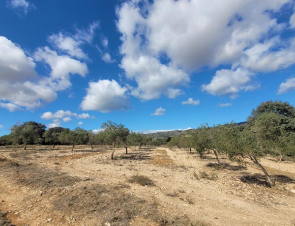 Rustic land For sell in Ontinyent in Valencia 