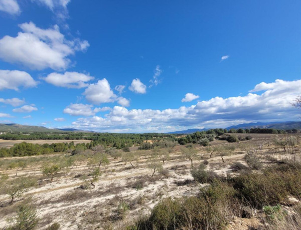 EXCELENTE OPORTUNIDAD!. FINCA AGRICOLA EN ONTINYENT CON GRAN VIVIENDA RENOVADA