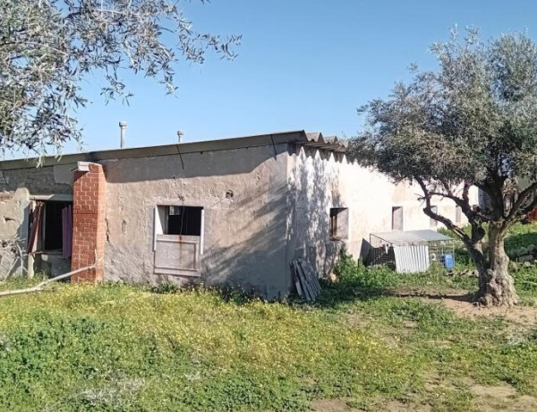 Rustic land For sell in Lagartera in Toledo 