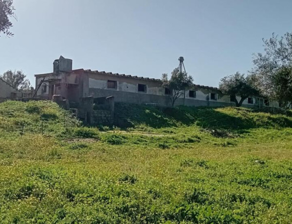 Rustic land For sell in Lagartera in Toledo 