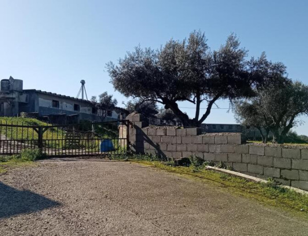 Rustic land For sell in Lagartera in Toledo 