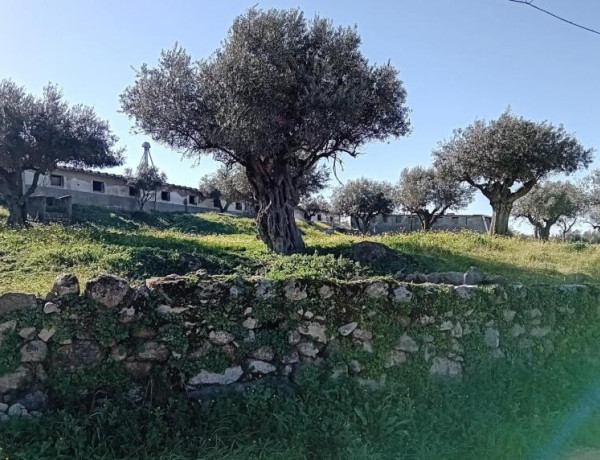 Rustic land For sell in Lagartera in Toledo 