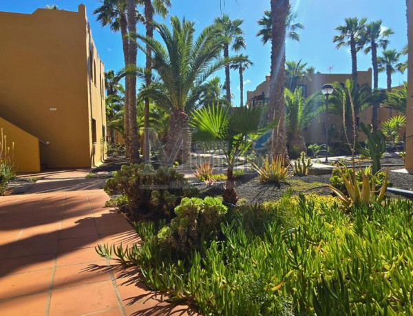 SE VENDE APARTAMENTO EN CORRALEJO, FUERTEVENTURA