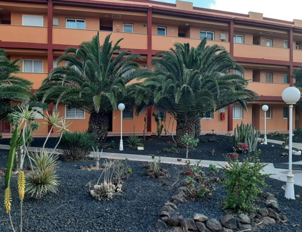 Encantador Apartamento Luminoso con Dos Dormitorios en la Urbanización &quot;Las Caletas&quot; , frente al mar