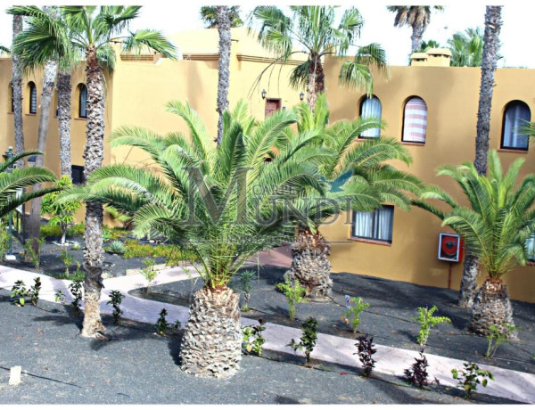 Encantador Apartamento en el Complejo Papagayo, Corralejo