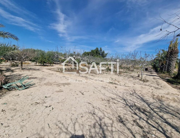 Rustic land For sell in Elche in Alicante 